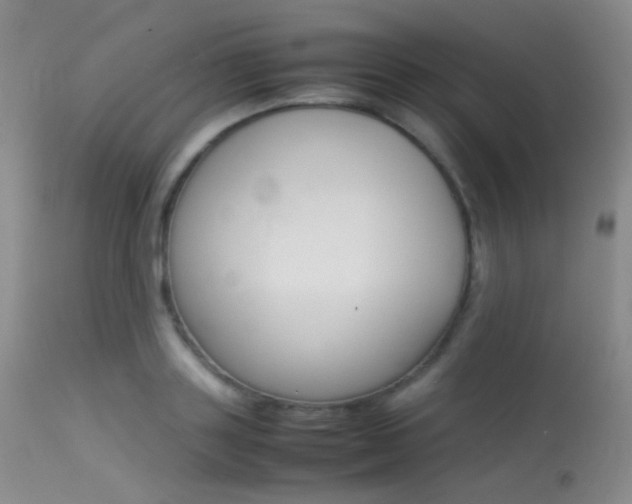 X0000113620843200909181114