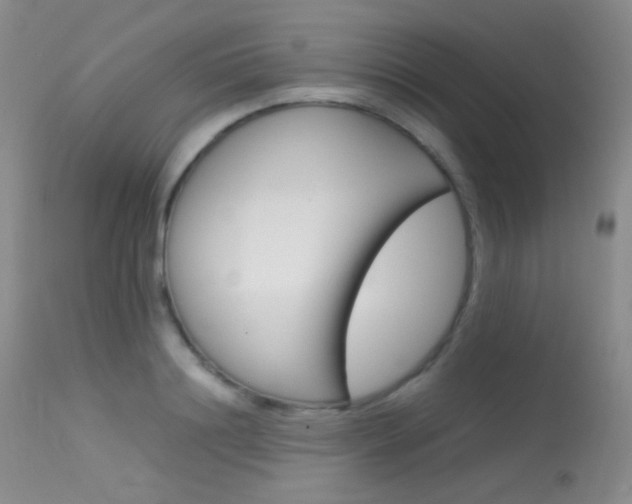 X0000113620844200909181114