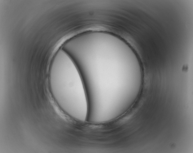 X0000113620845200909181114