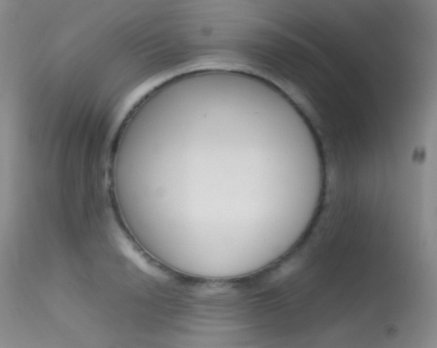 X0000113620846200909181114