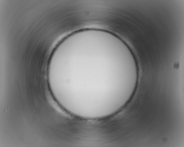 X0000113620848200909181114