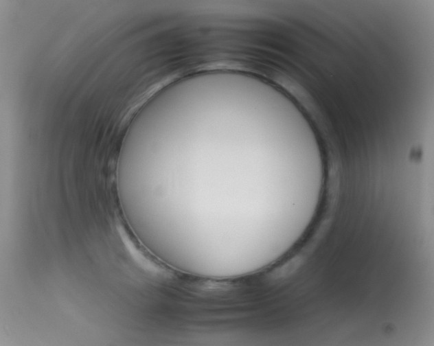 X0000113620849200909181114