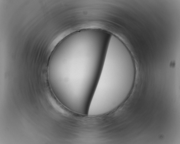 X0000113620850200909181114