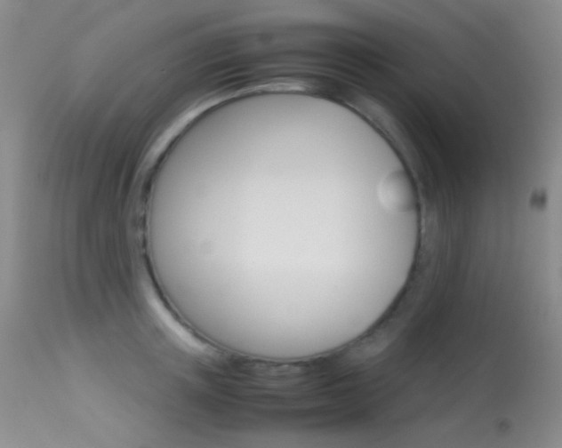 X0000113620851200909181114