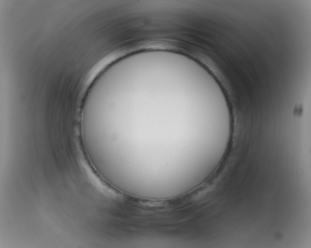 X0000113620853200909181114