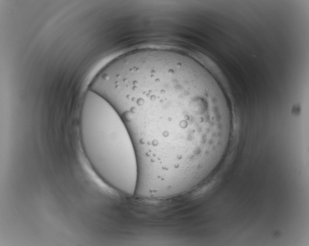 X0000113620855200909181114