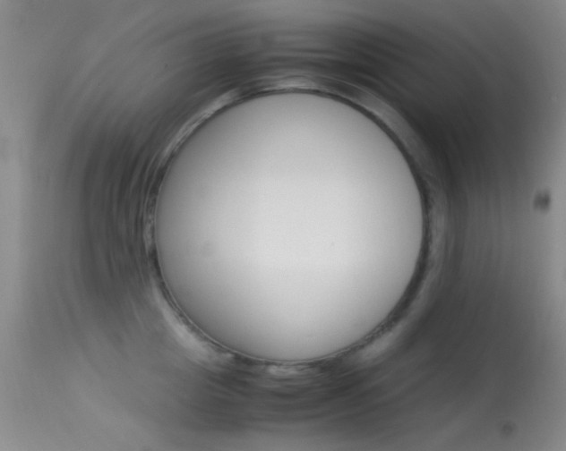 X0000113620857200909181114