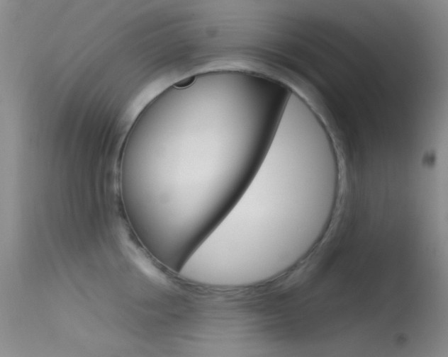 X0000113620858200909181114