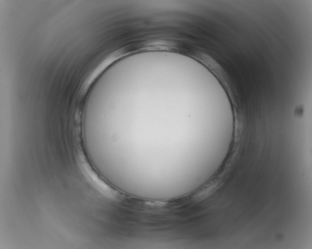 X0000113620859200909181114