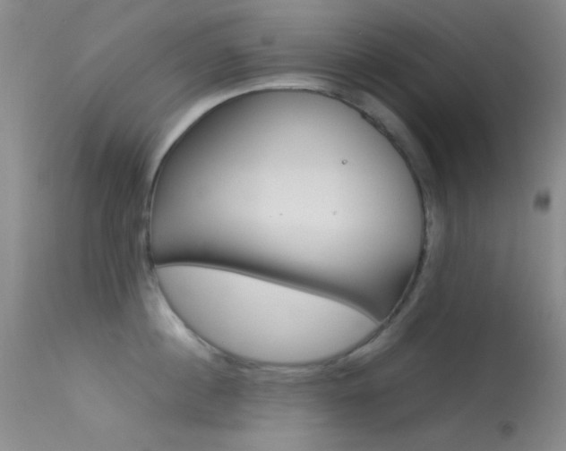 X0000113620860200909181114