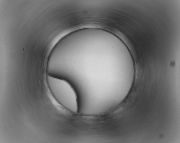 X0000113620861200909181114