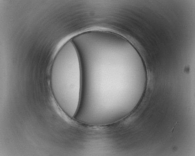 X0000113620862200909181114