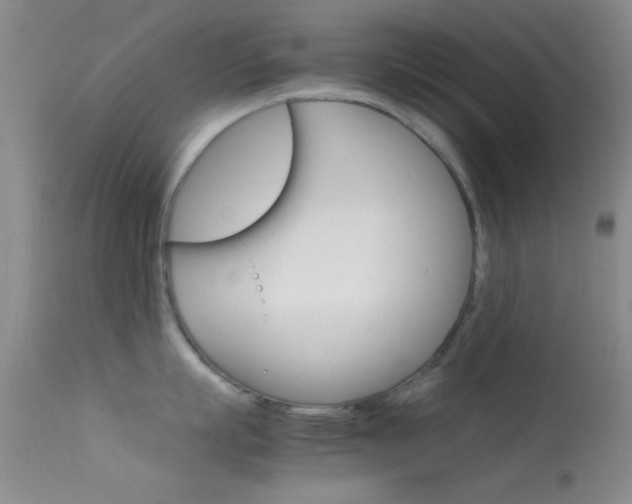 X0000113620863200909181114