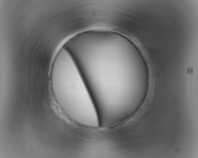 X0000113620864200909181114