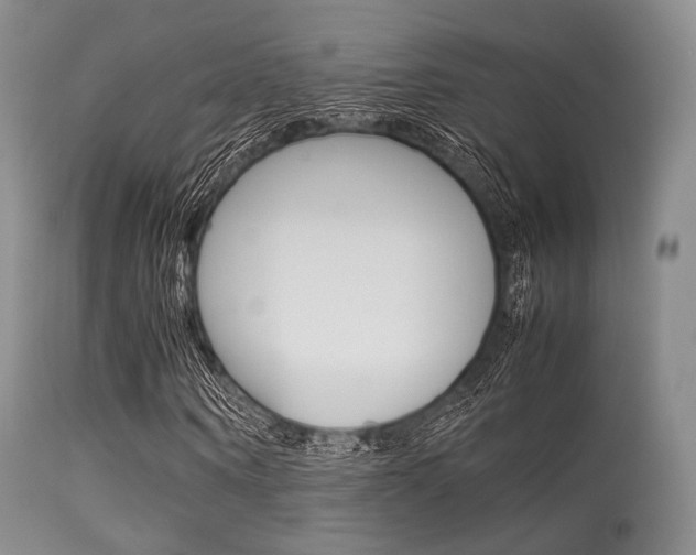 X0000113620866200909181113