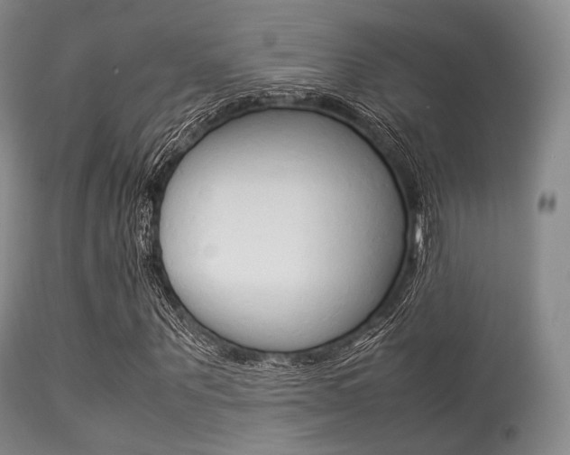 X0000113620867200909181113