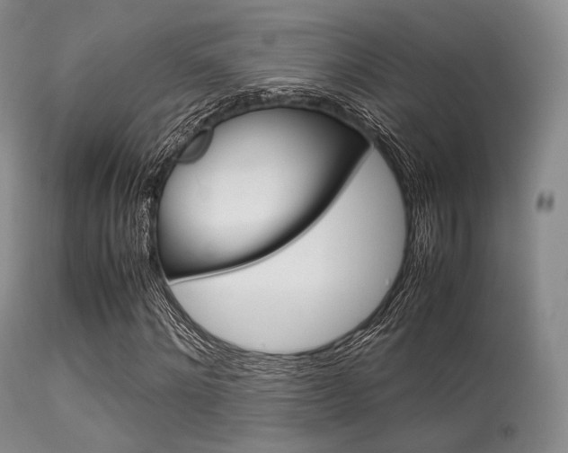 X0000113620868200909181113