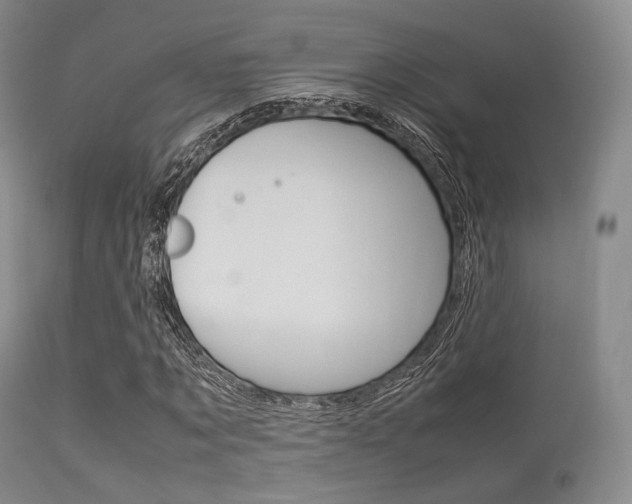 X0000113620869200909181113