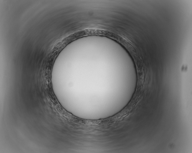 X0000113620870200909181113