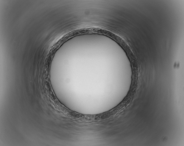 X0000113620871200909181113