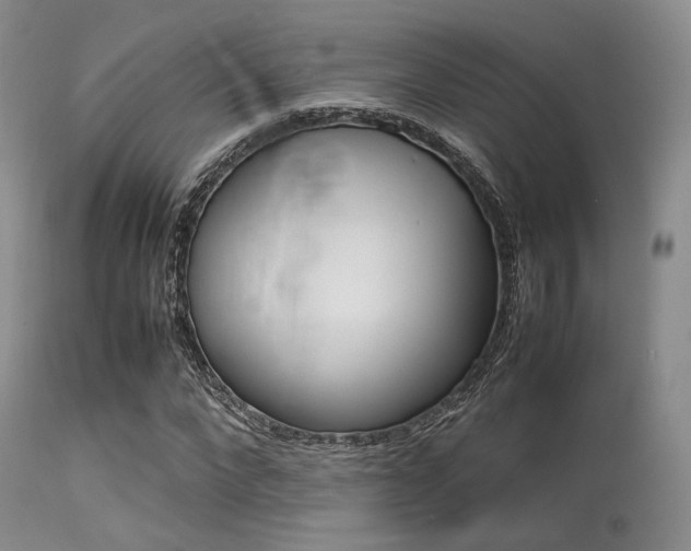 X0000113620872200909181113