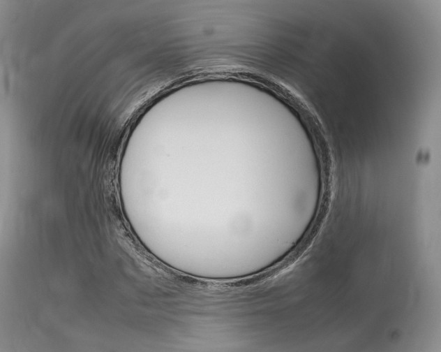 X0000113620873200909181113