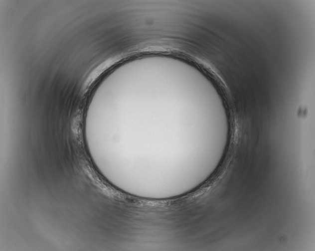 X0000113620874200909181113