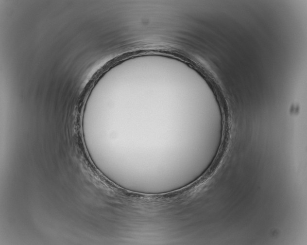 X0000113620875200909181113