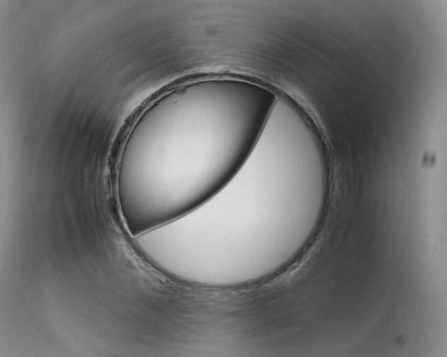 X0000113620876200909181113