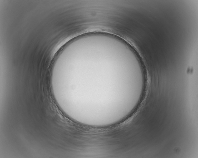 X0000113620877200909181113