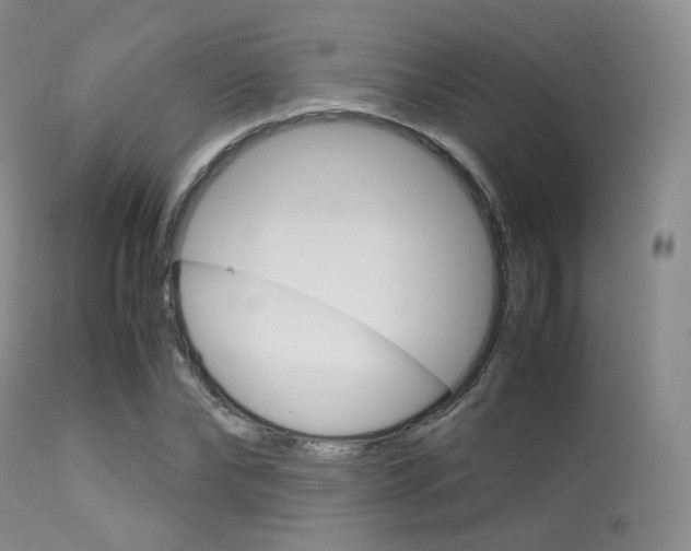 X0000113620878200909181113