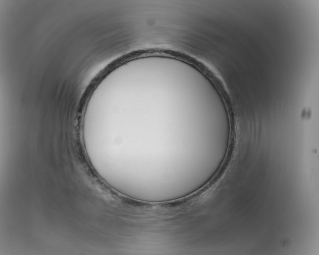 X0000113620879200909181113