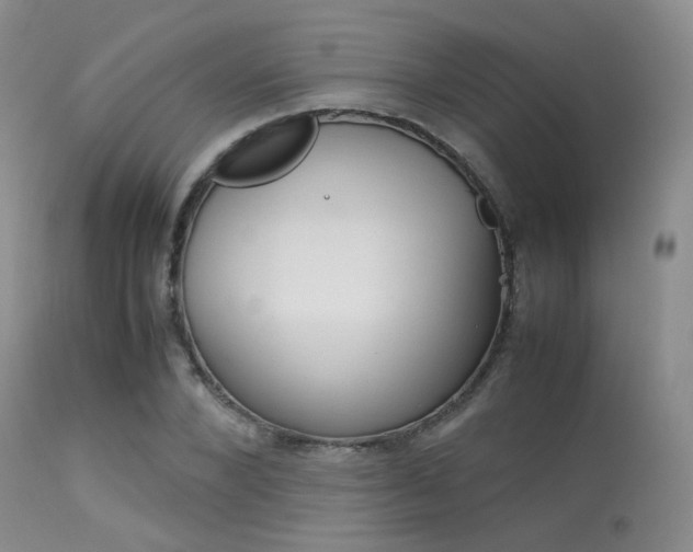 X0000113620880200909181113