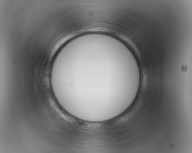 X0000113620882200909181113