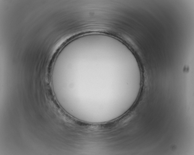 X0000113620883200909181113