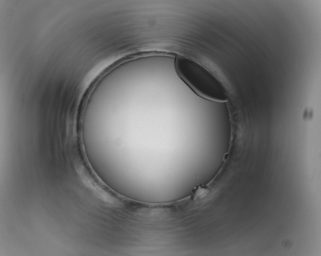 X0000113620884200909181113