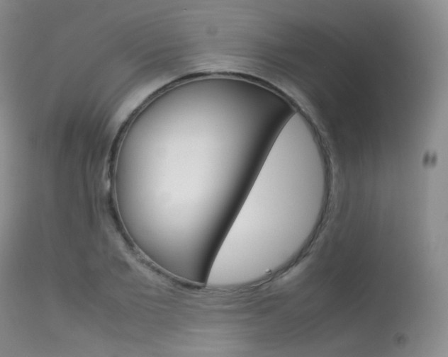 X0000113620885200909181113