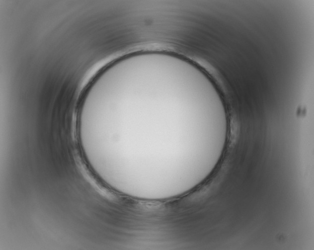 X0000113620886200909181113