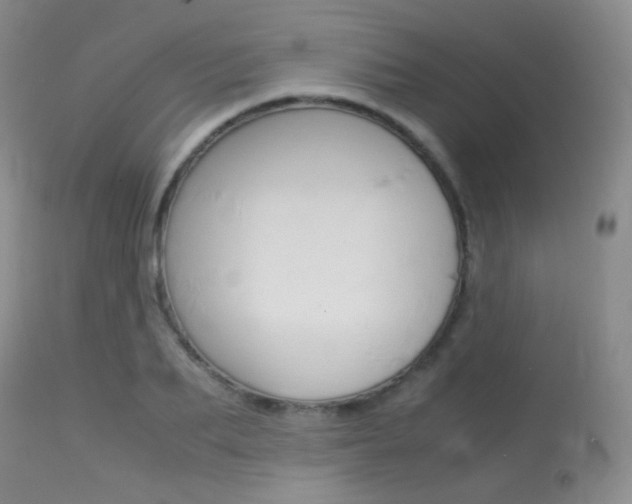 X0000113620887200909181113