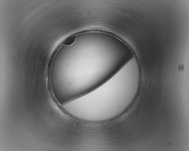 X0000113620888200909181113