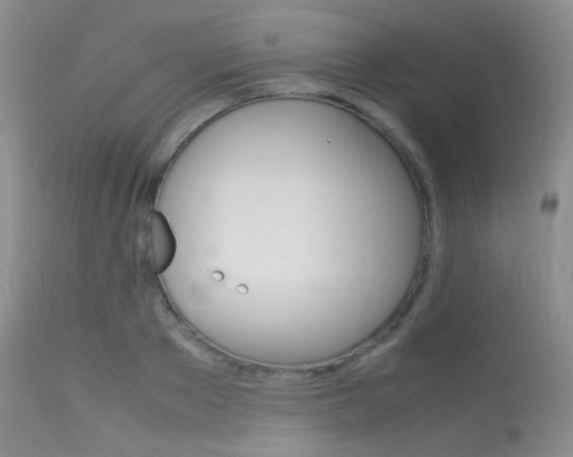 X0000113620889200909181113