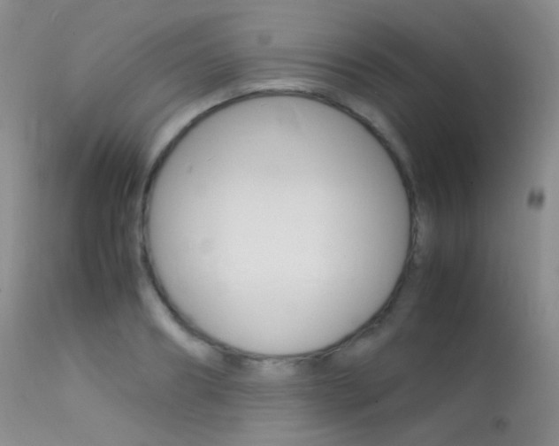 X0000113620890200909181113