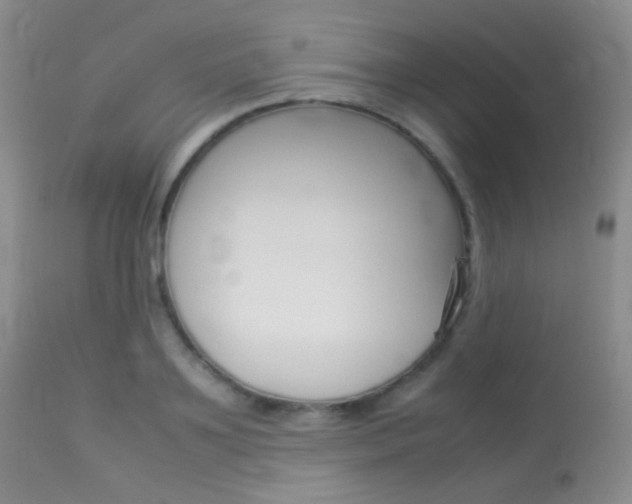 X0000113620891200909181113