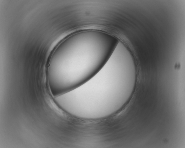 X0000113620892200909181113