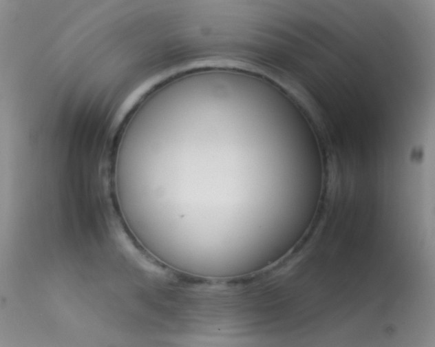 X0000113620896200909181113