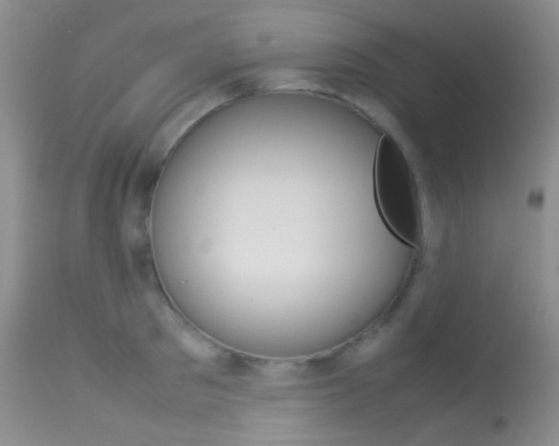 X0000113620897200909181113