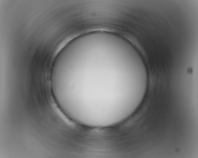 X0000113620898200909181113