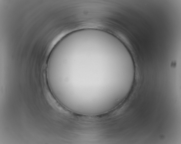 X0000113620899200909181113