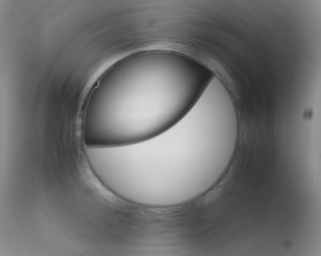 X0000113620900200909181113