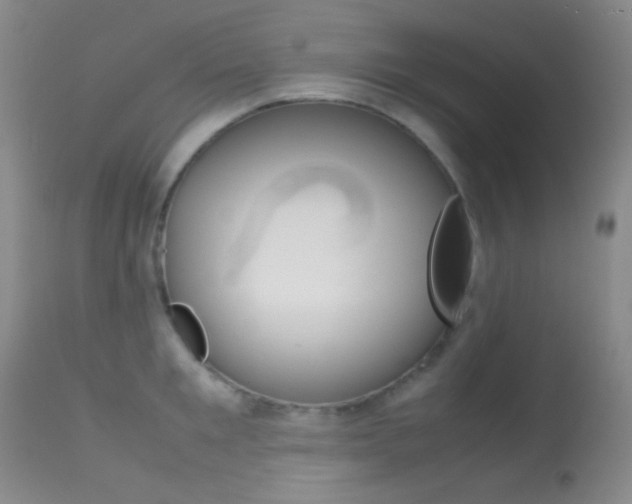 X0000113620901200909181113